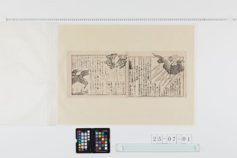 嘉永三年江戸落雷の図 - ページ 1