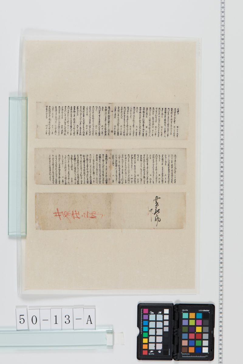 大日本数量附暴病御救人別之写 - ページ 1