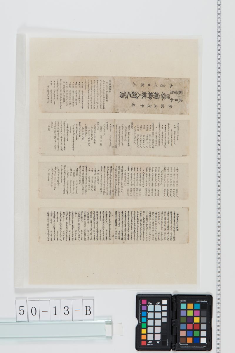 大日本数量附暴病御救人別之写 - ページ 2
