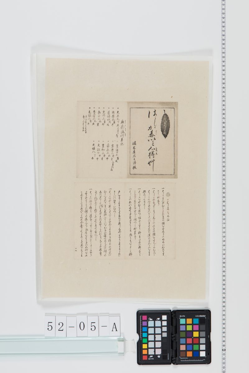 はしか毒いみ心得艸 - ページ 1