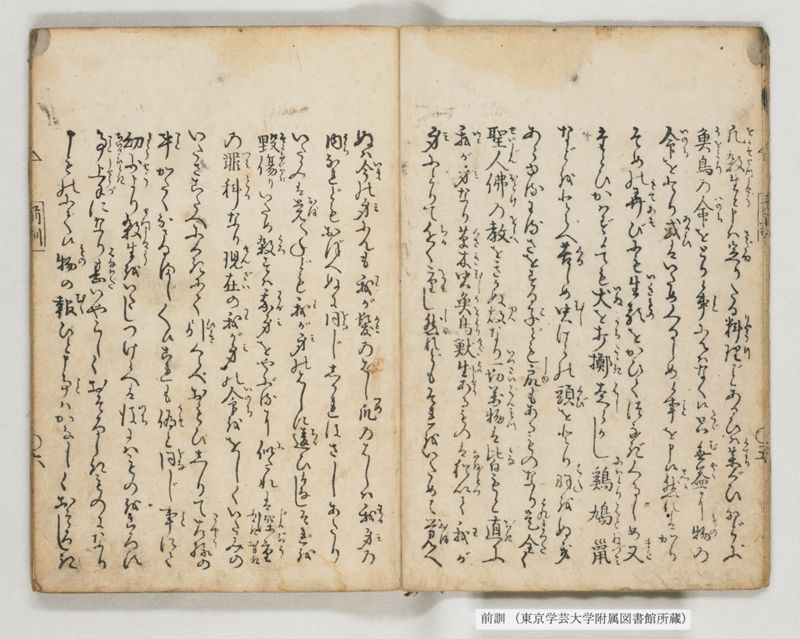 前訓 - ページ 10