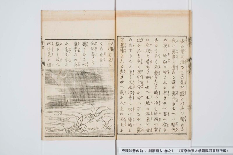 究理知慧の勧 : 訓蒙画入 巻之1 - ページ 10