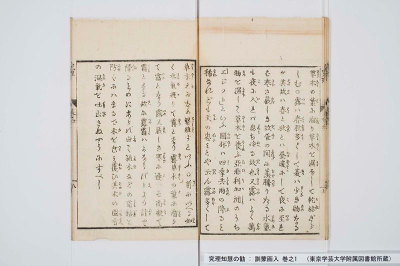 究理知慧の勧 : 訓蒙画入 巻之1 - ページ 11