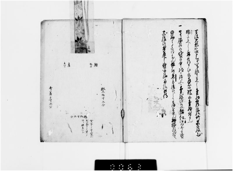 天児之書（あまがつのしょ） - ページ 9