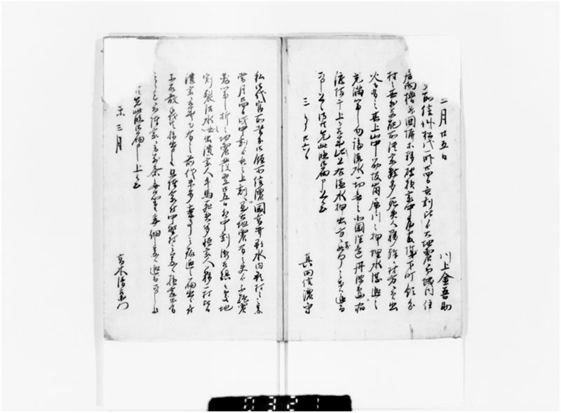 信州大地震一件 - ページ 4