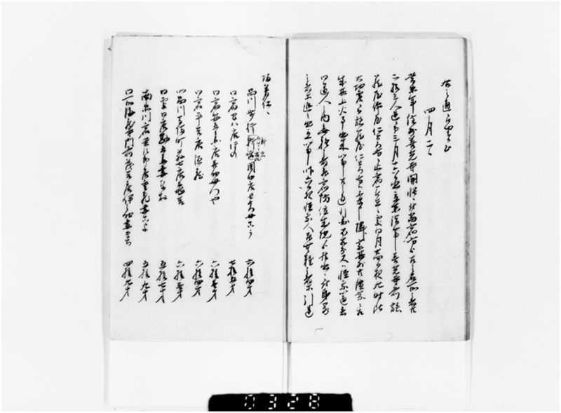 信州大地震一件 - ページ 11