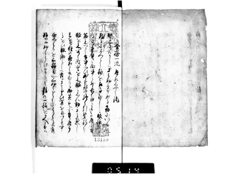 名薬秘伝之書 - ページ 2