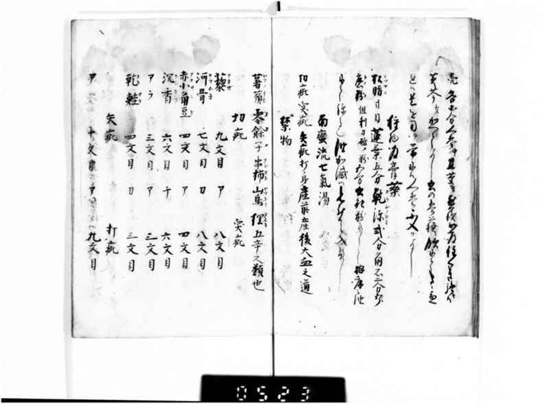 名薬秘伝之書 - ページ 11