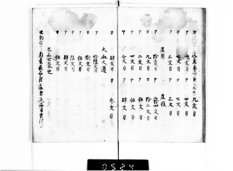 名薬秘伝之書 - ページ 12
