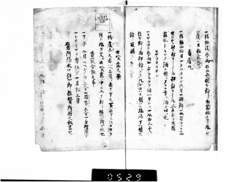 名薬秘伝之書 - ページ 17
