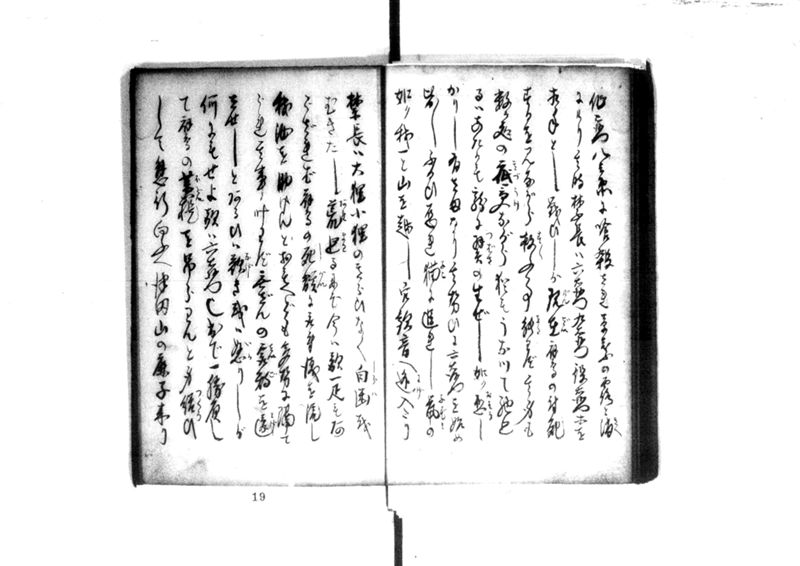 近頃古狸珍説　礼義智信 - ページ 23
