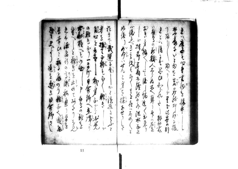 近頃古狸珍説　礼義智信 - ページ 25