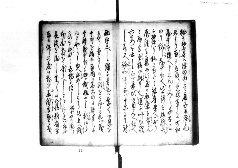 近頃古狸珍説　礼義智信 - ページ 46