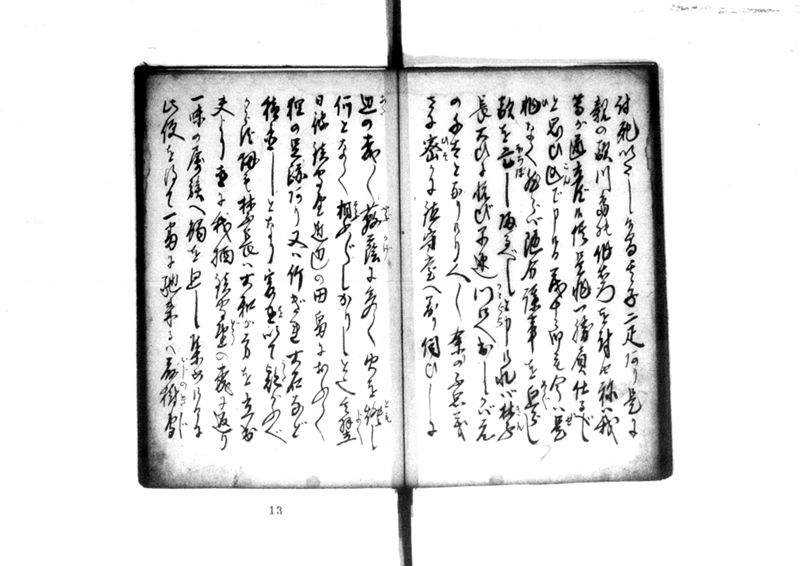 近頃古狸珍説　礼義智信 - ページ 47
