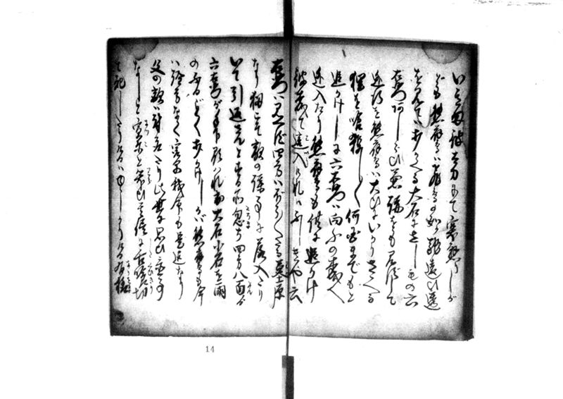 近頃古狸珍説　礼義智信 - ページ 71